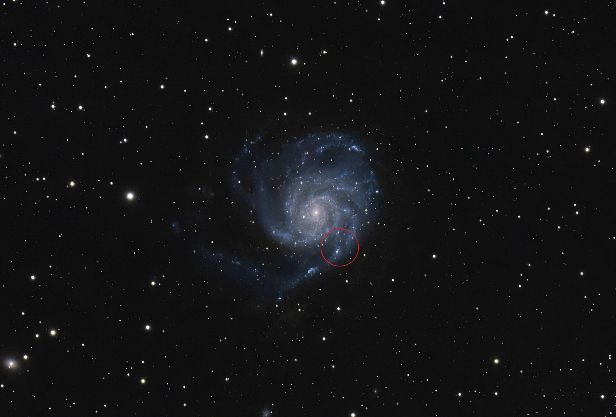 An animation of the supernova appearing in the lower spiral arm of the Pinwheel galaxy