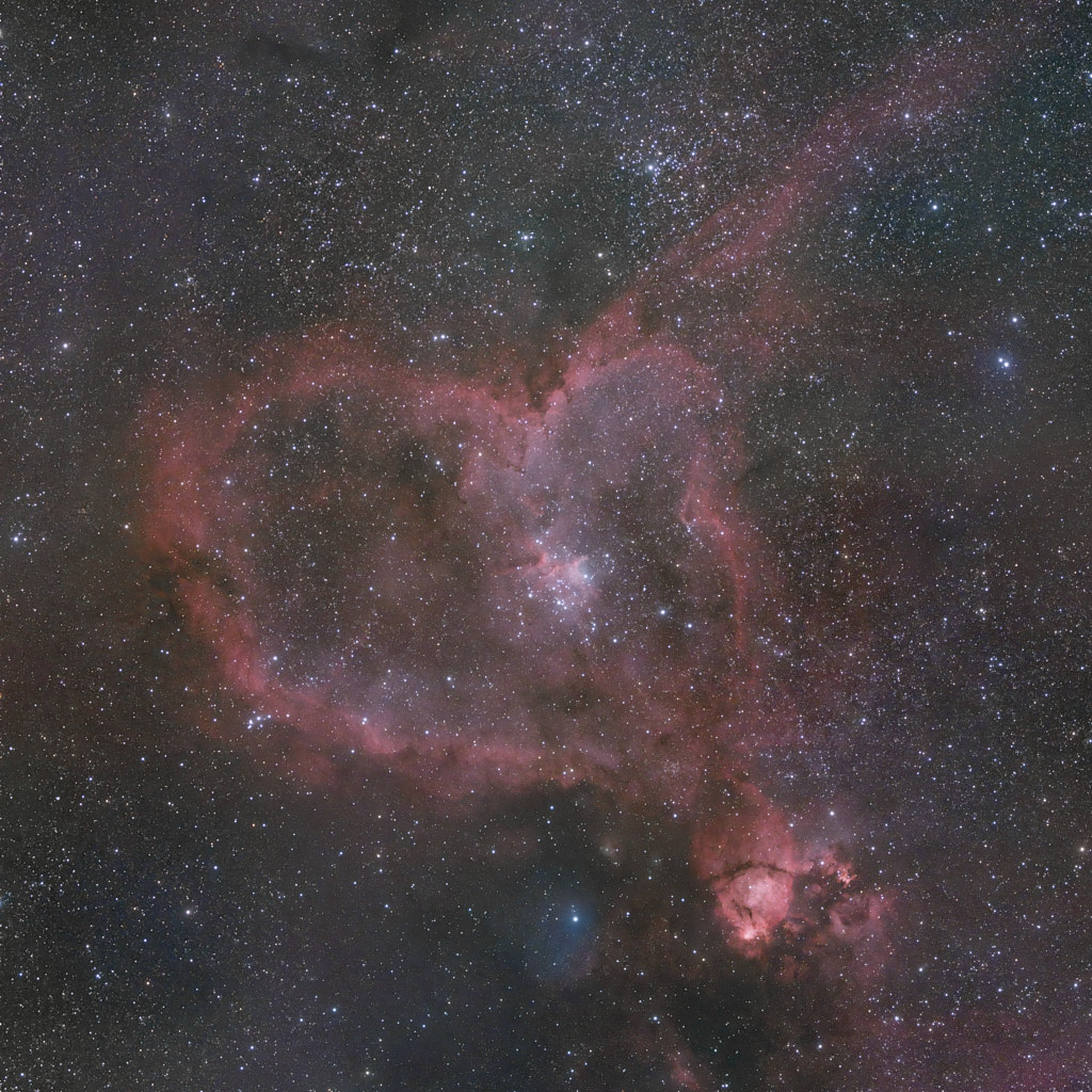 A large diffuse nebula of red and blue clouds that is roughly shaped like a heart.