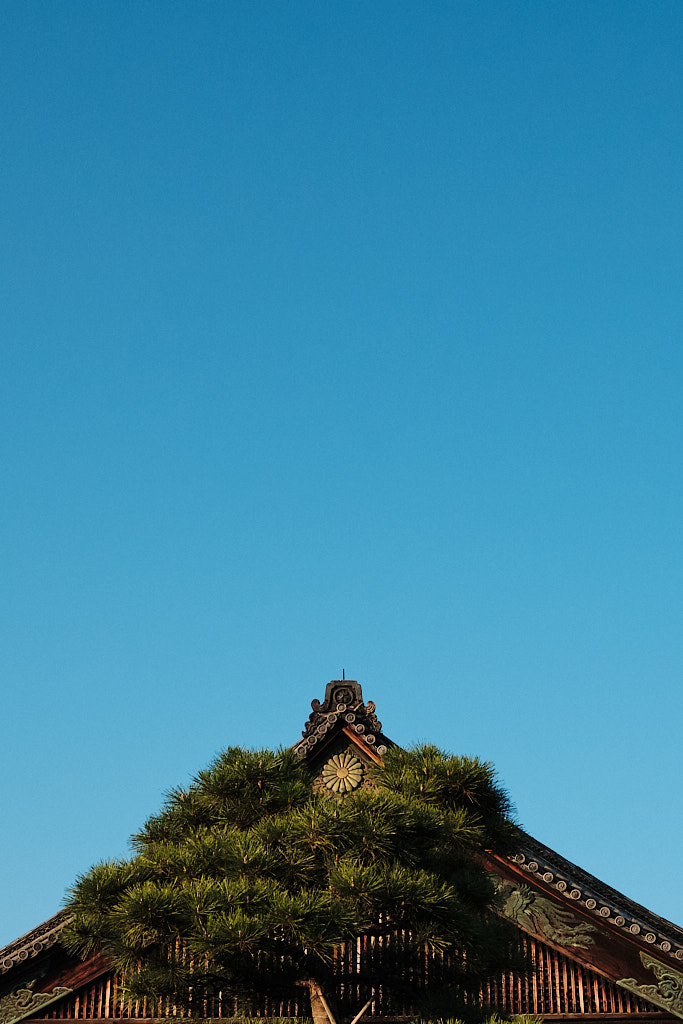 Nijō Castle, Kyoto