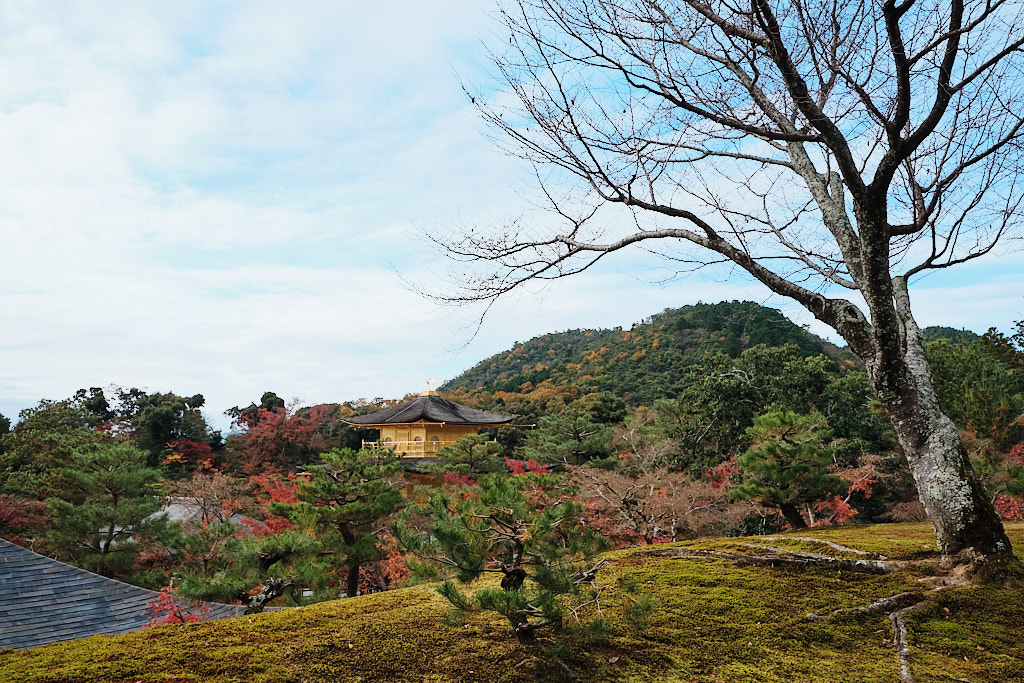 Kinkaku-ji, the Golden Pavilion, in Kyoto