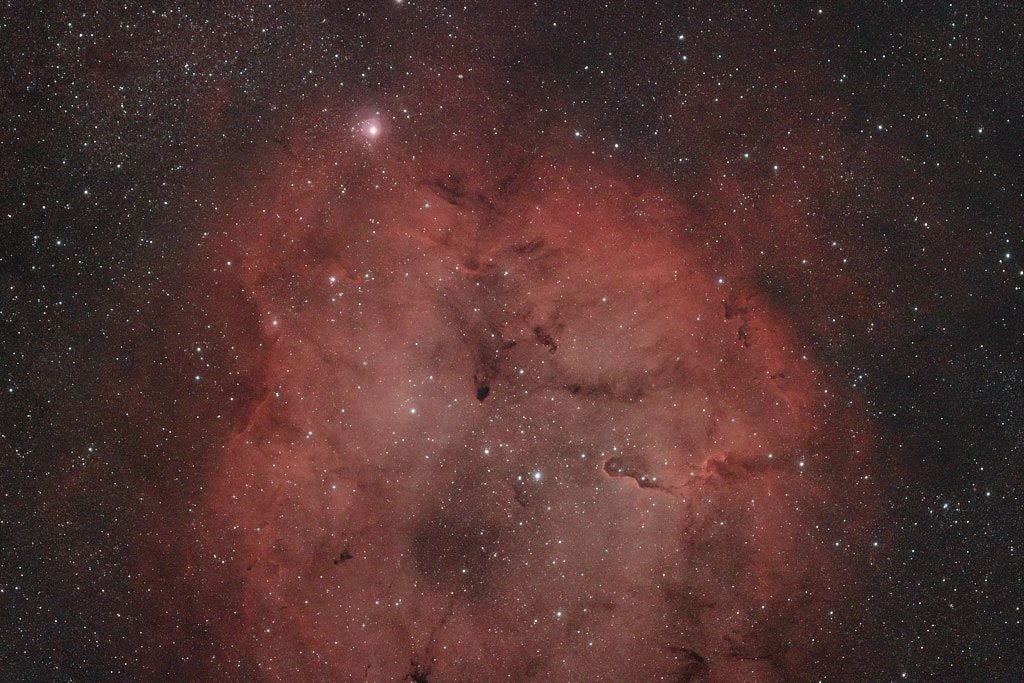 An emission nebula characterized by the dense, sinuous patch of gas that appears like an elephant's trunk in the bottom half of this image.